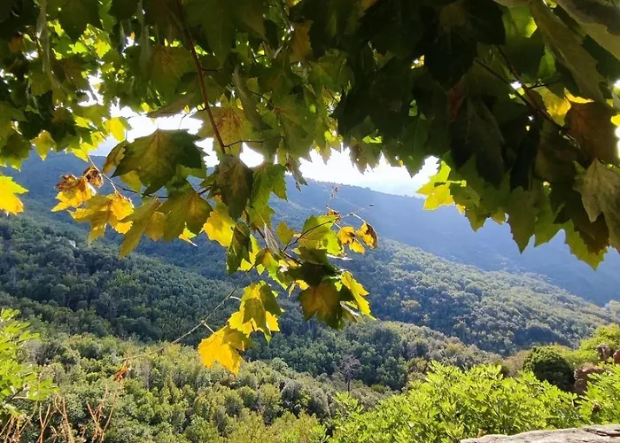 Maison Typique De Village Corse , 15min Aeroport Et De La Casa Scalina * Prunelli-di-Casacconi