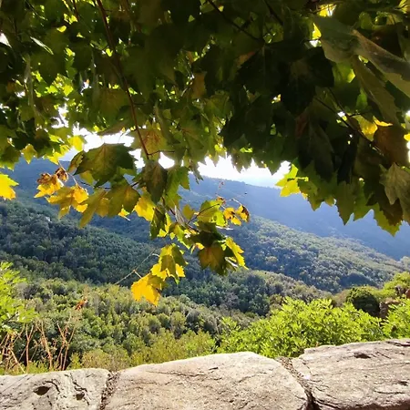 Maison Typique De Village Corse , 10 Min Aéroport Et De La * Prunelli-di-Casacconi
